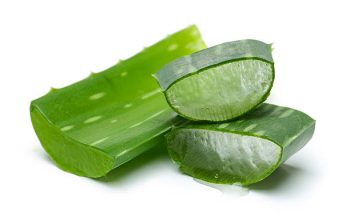 Quels sont les avantages de l’aloe vera ?