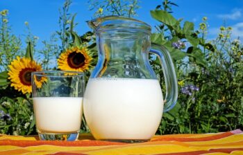 Guide pour choisir la meilleure machine à lait végétal